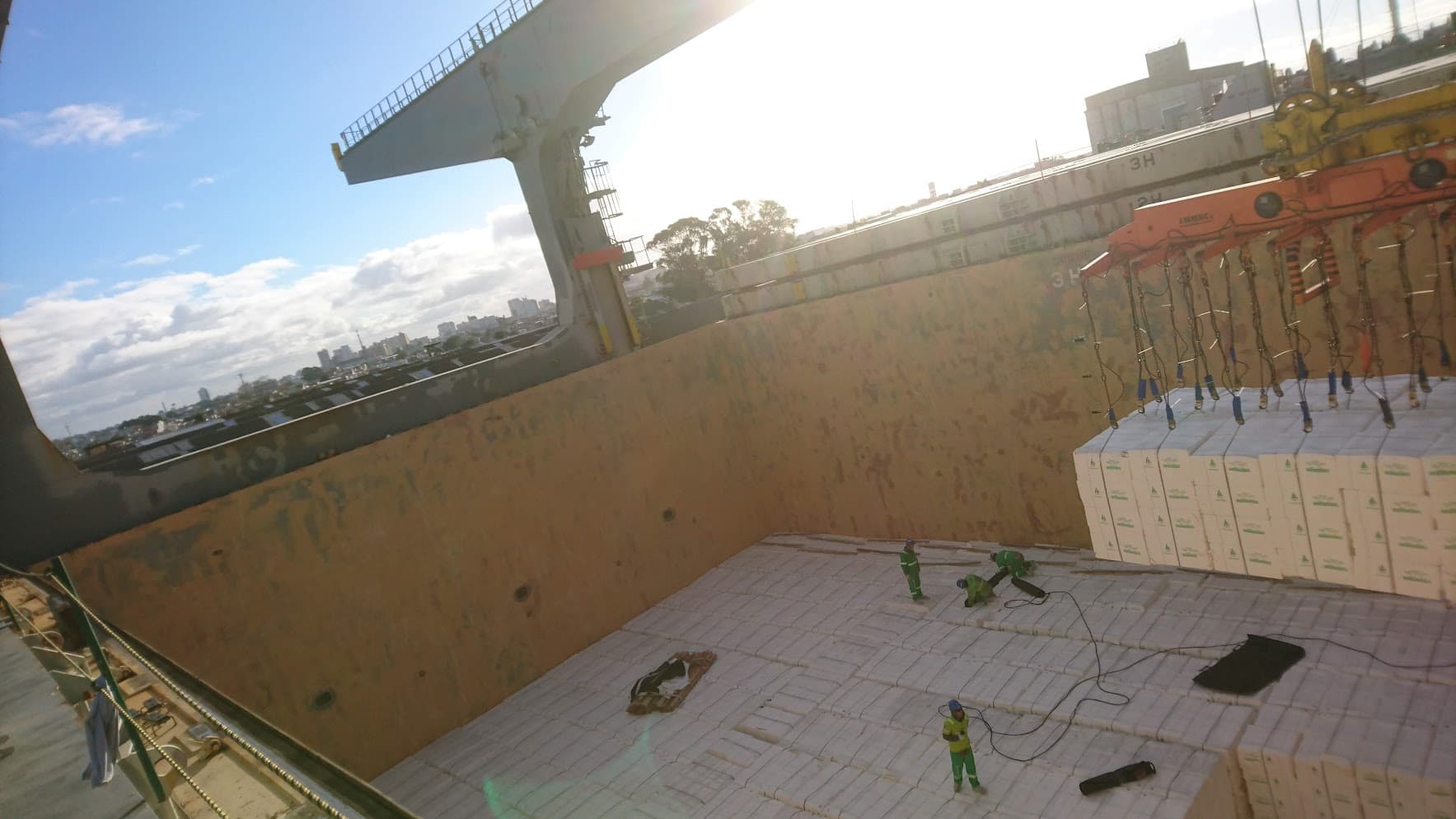 Celulosa