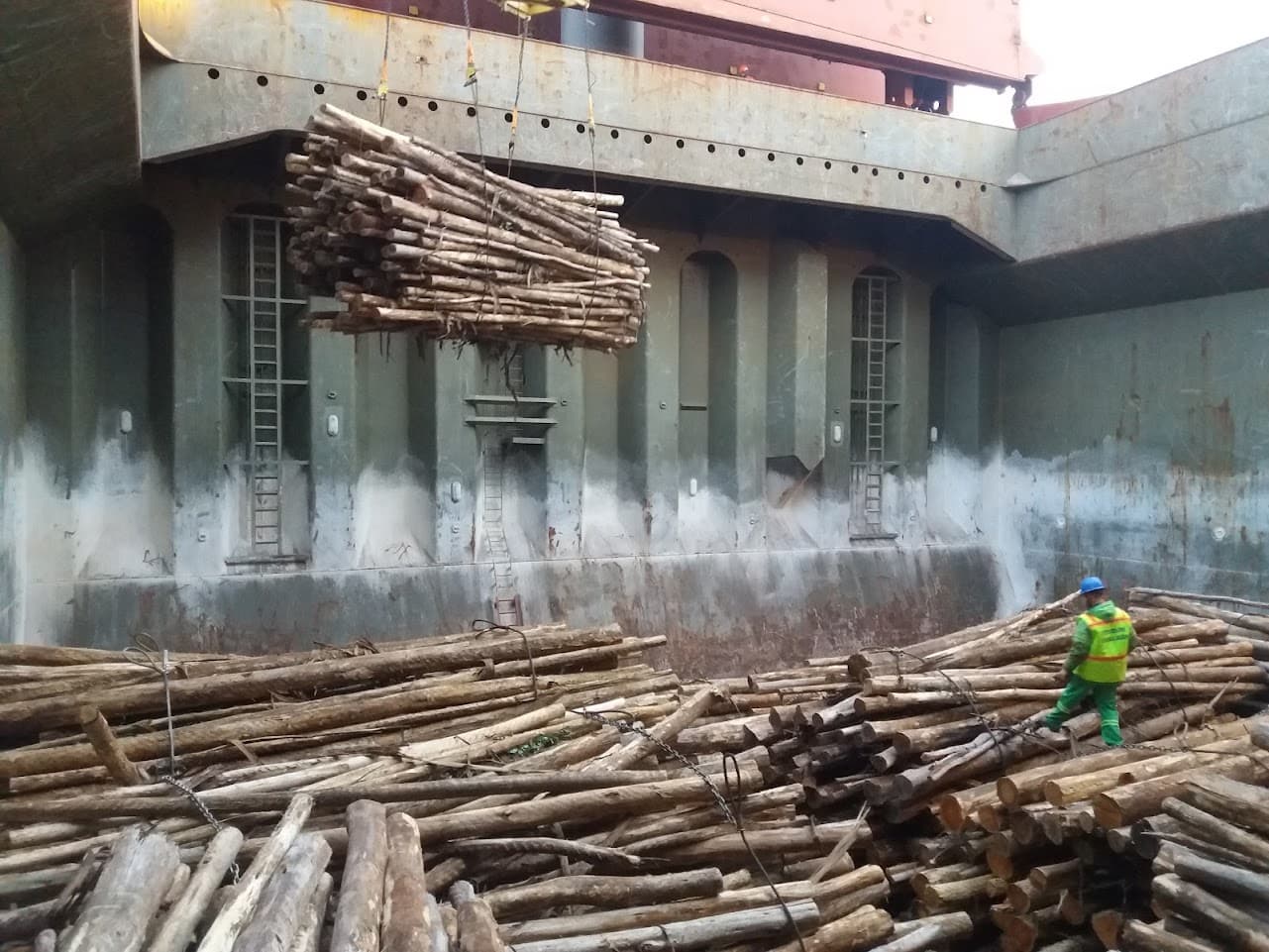 Toras de madeira lingada sendo movimentadas